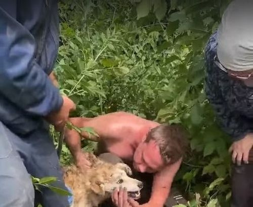 Не прошли мимо! В Магнитогорске садоводы спасли пса, провалившегося в яму с глиной