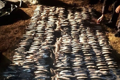 Ущерб – более 2 млн рублей! Двух магнитогорцев осудили за вылов рыбы на озере Малое Чебачье