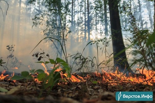 Один дом сгорел полностью. В Челябинской области вновь бушуют природные пожары