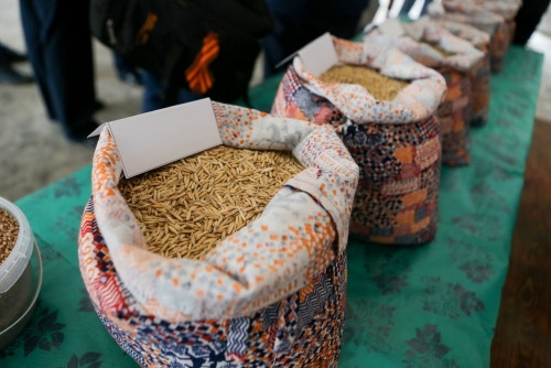 Уборка в активной фазе. В Челябинской области к середине сентября собрали 1,5 млн тонн зерна