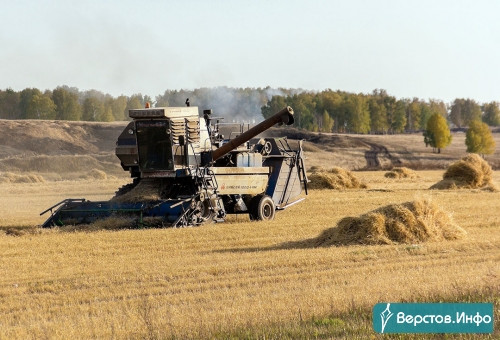 Уборка в активной фазе. В Челябинской области к середине сентября собрали 1,5 млн тонн зерна