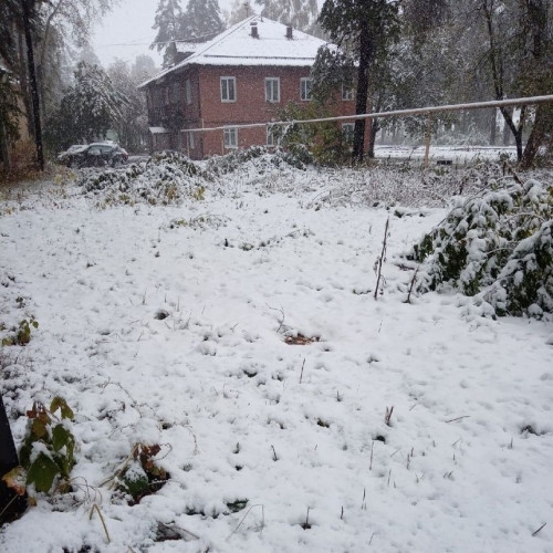 Скоро дойдёт и до Магнитогорска. В Челябинской области выпал первый снег