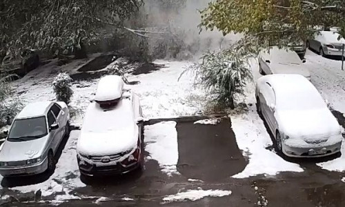 ЧП попало на видео. В Магнитогорске на водителя, очищавшего от снега свою машину, упало дерево